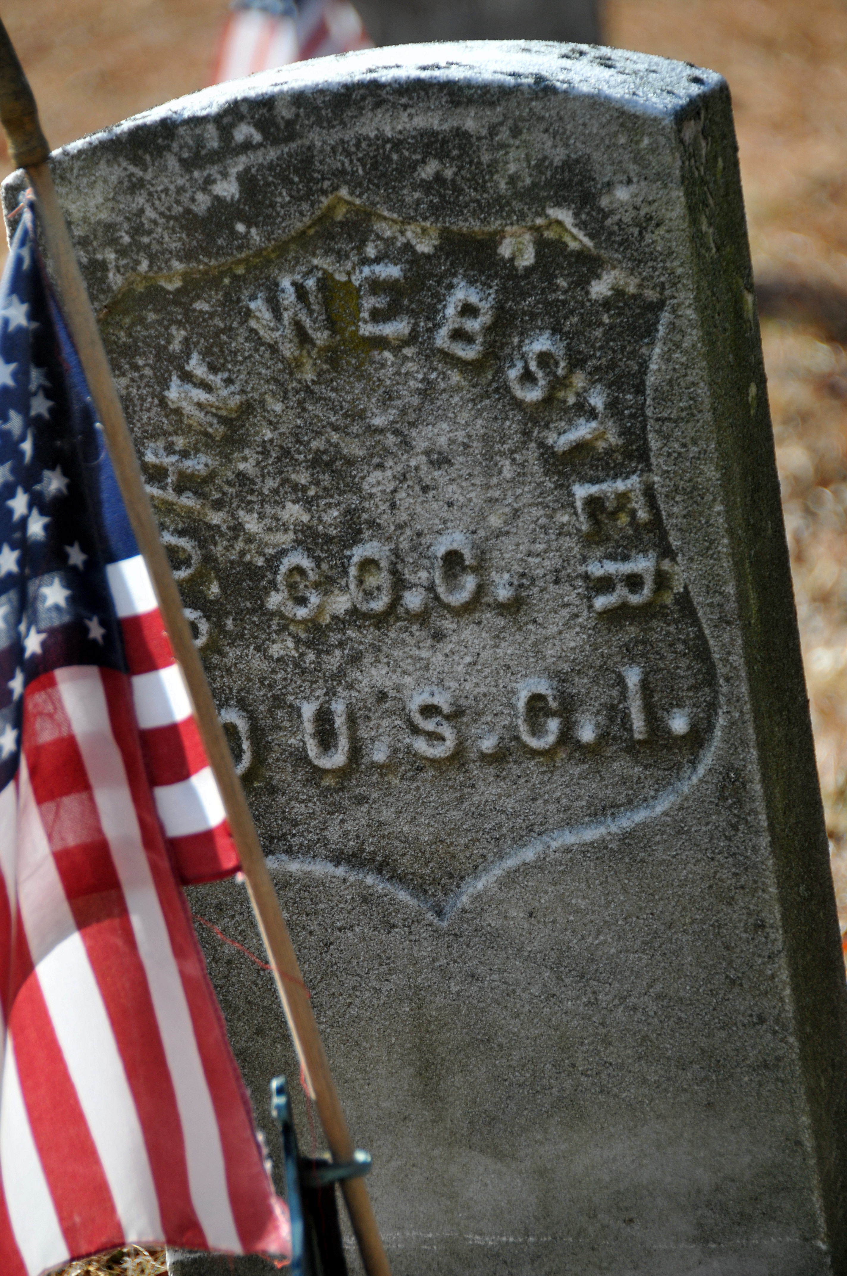 private webster united states colored troops