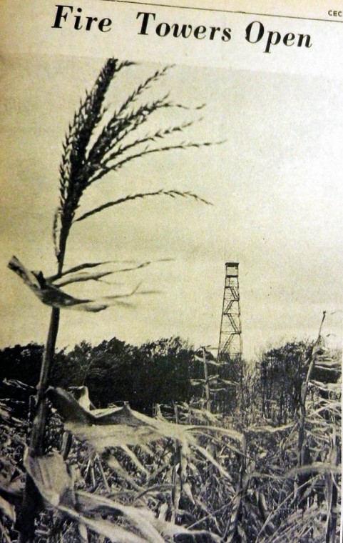 woodlawn fire tower