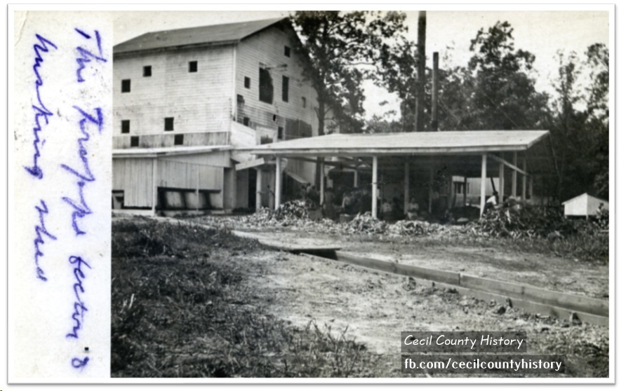A Cecil County cannery at colora